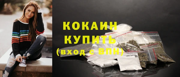 дурь Бронницы