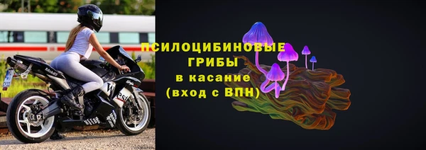 альфа пвп Бородино