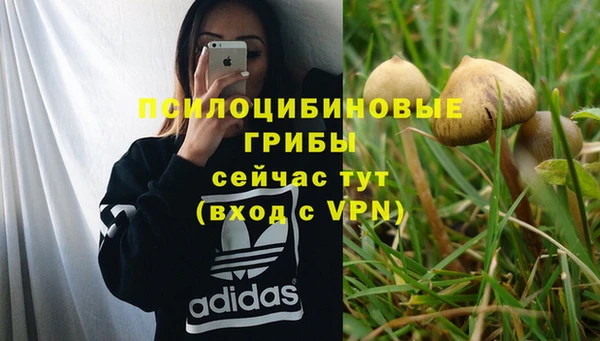 альфа пвп Бородино