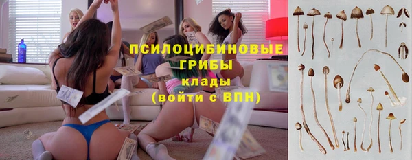 соль ск Бугульма