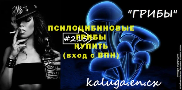 соль ск Бугульма